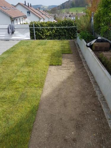 Verlegen des Rollrasens 